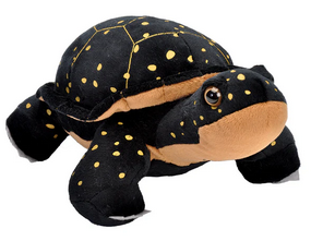 Spotted Turtle Stuffed Animal - 12"