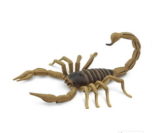 Scorpion