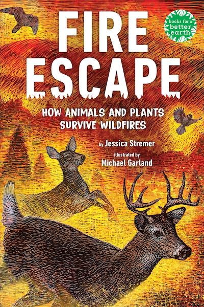 Fire Escape: How Animals and Plants Survive Wildfires
