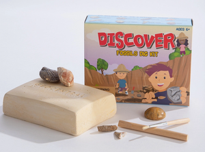 Discover! Fossils Excavation Kit