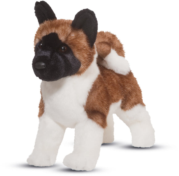 Kita Akita Dog