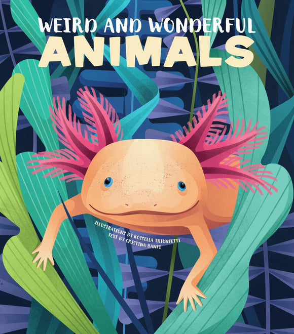Weird and Wonerful Animals