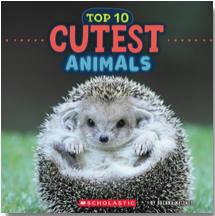 Cutest Animals (Wild World: Top 10)