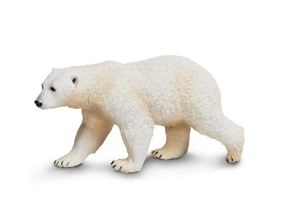 Polar Bear