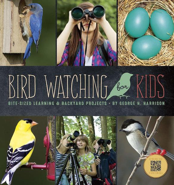 Birdwatching For Kids: Bite-Sized Learning & Backyard Projects