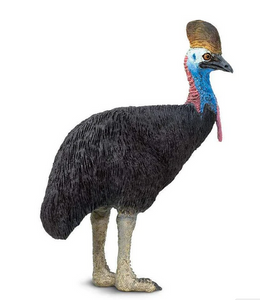 Cassowary