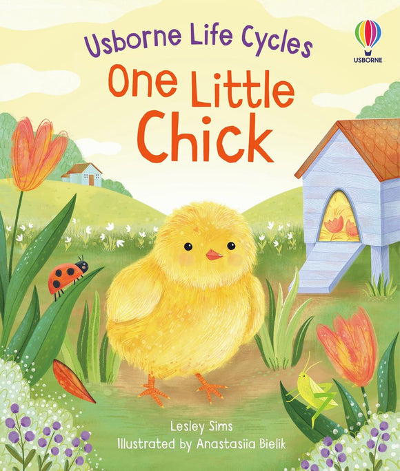 Usborne Life Cycles: One Little Chick