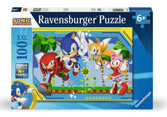 Sonic the Hedgehog 100pc