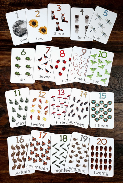 Backyard Nature Counting Cards - Set of 20