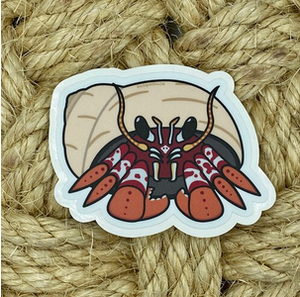 Vinyl Sticker - Black-eyed Hermit Crab - 3.75"