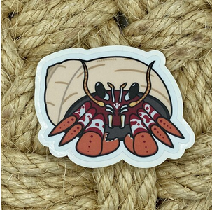 Vinyl Sticker - Black-eyed Hermit Crab - 3.75