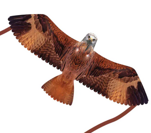 Red Kite - 74cm Kite