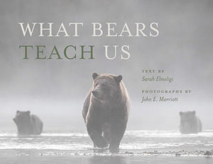 What Bears Teach Us