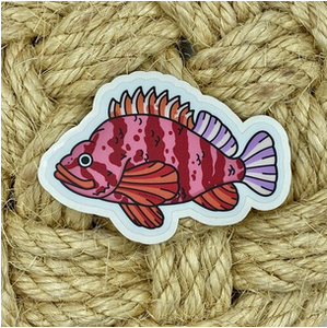 Vinyl Sticker - Tiger Rockfish - 4.0"