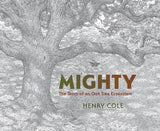 Mighty: An Oak Tree Ecosystem