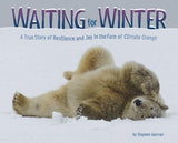 Waiting For Winter