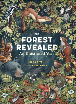 The Forest Revealed: An Illustrated Year