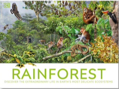 Rainforest
