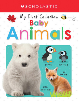 My First Canadian: Baby Animals