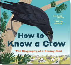 How to Know a Crow