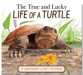 The True and Lucky Life of a Turtle