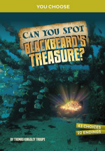 You Choose: Can You Spot Blackbeard's Treasure?: An Interactive Treasure Adventure