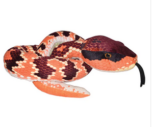 Eastern Cottonmouth Snake II - 54"