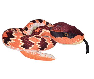 Eastern Cottonmouth Snake II - 54