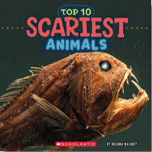 Scariest Animals (Wild World: Top 10)