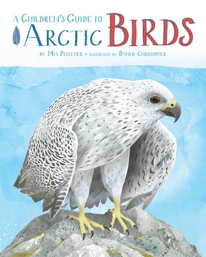 A Children's Guide To Arctic Birds