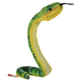 Rainforest Coilkins Snake Assortment -