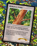 Vancouver Island Trading Cards