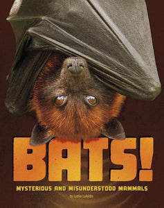Bats! Mysterious and Misunderstood Mammals