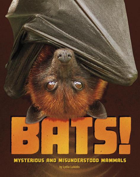 Bats! Mysterious and Misunderstood Mammals
