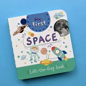 My First Mini Lift-the-Flap Book -