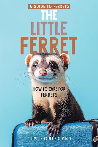 The Little Ferret - A Guide to Ferrets
