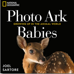 National Geographic Photo Ark: Babies Growing Up