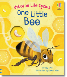 Usborne Life Cycles: One Little Bee