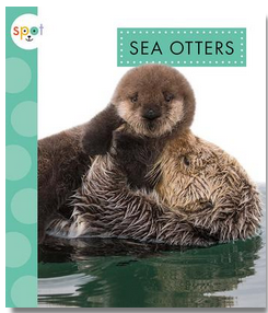 Sea Otters