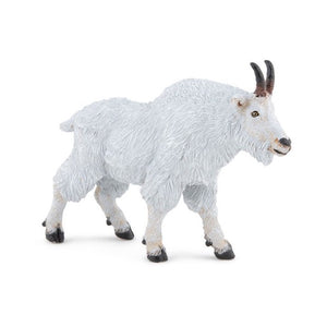 Canadian / Mountain Goat