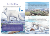 Animals Illustrated: Arctic Land Mammals