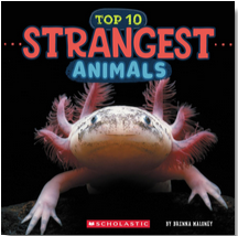 Strangest Animals (Wild World: Top 10)