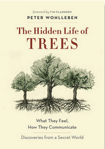 The Hidden Life of Trees: What They Feel, How They Communicate: Discoveries from a Secret World