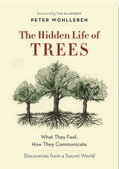 The Hidden Life of Trees: What They Feel, How They Communicate: Discoveries from a Secret World