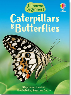 Usborne Beginners: Caterpillars and Butterflies