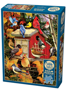 Fall Birdhouse 500pc