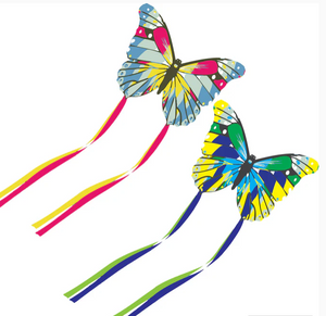 Mini Butterfly Kite