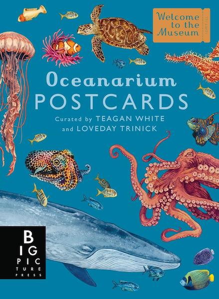 Oceanarium 50 Postcard Box Set