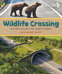 Wildlife Crossing: Giving Animals the Right of Way