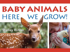 Baby Animals! Here We Grow